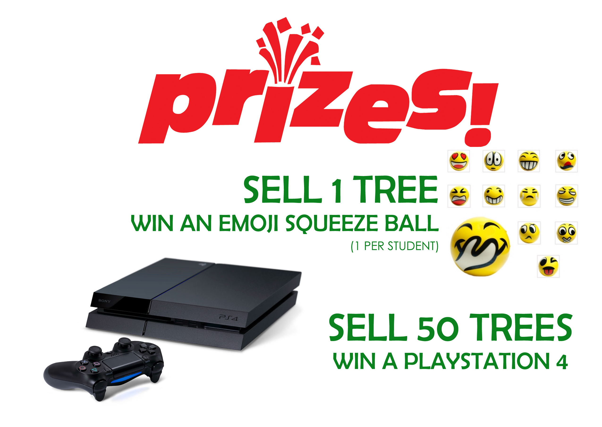 Hawaii School Fundraising Prizes Hawaii Christmas Trees hawaii-school-fundraising-prizes-hawaii-christmas-trees